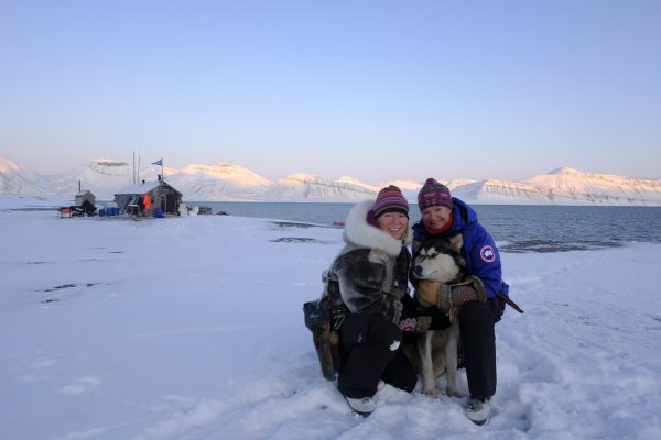 Snowy mountains, Arctic explorers, husky dog