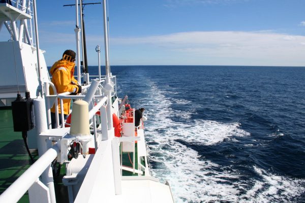 A man on board an expedition ship gazes out at the ocean