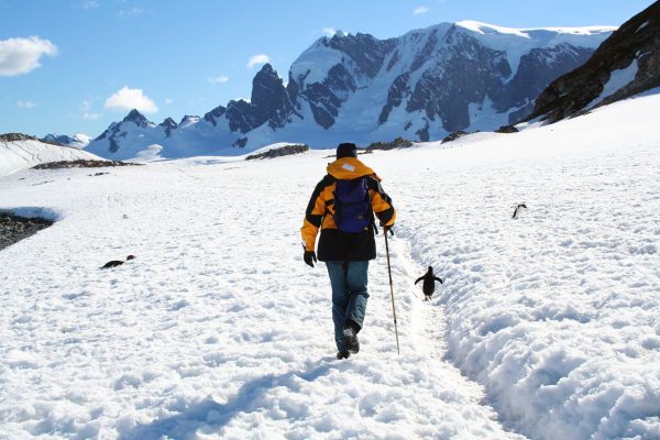 A traveller exploring Cuverville Island, Antarctica surrounded by snow and penguins