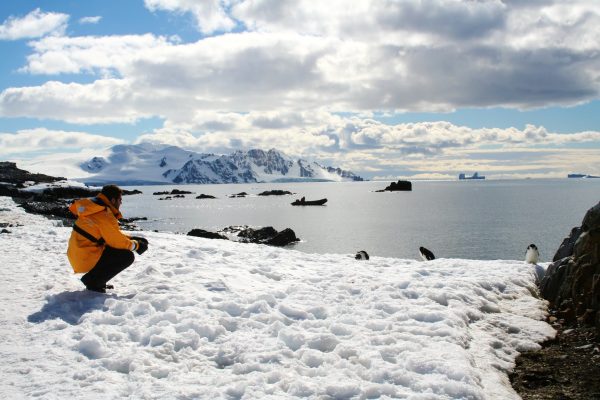 A man in a yellow jacket crouching down and admiring Antarctica