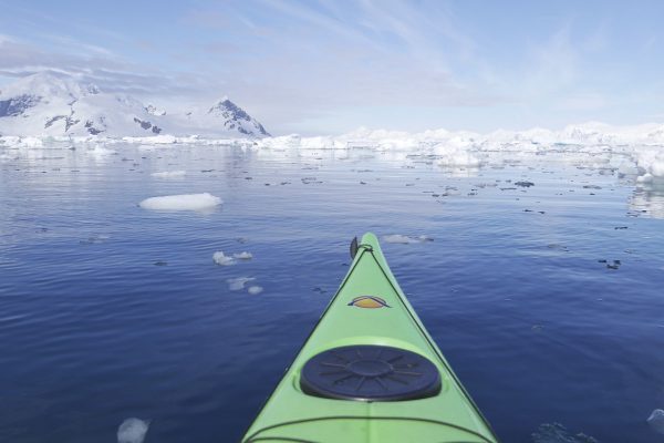 Peacefully paddling through Antarctic waters